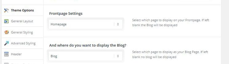Theme Options Enfold Theme