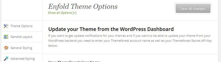 Theme Updates Enfold Theme