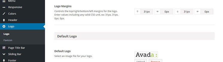 Logo Options