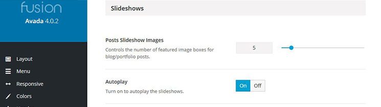 Slideshow Options