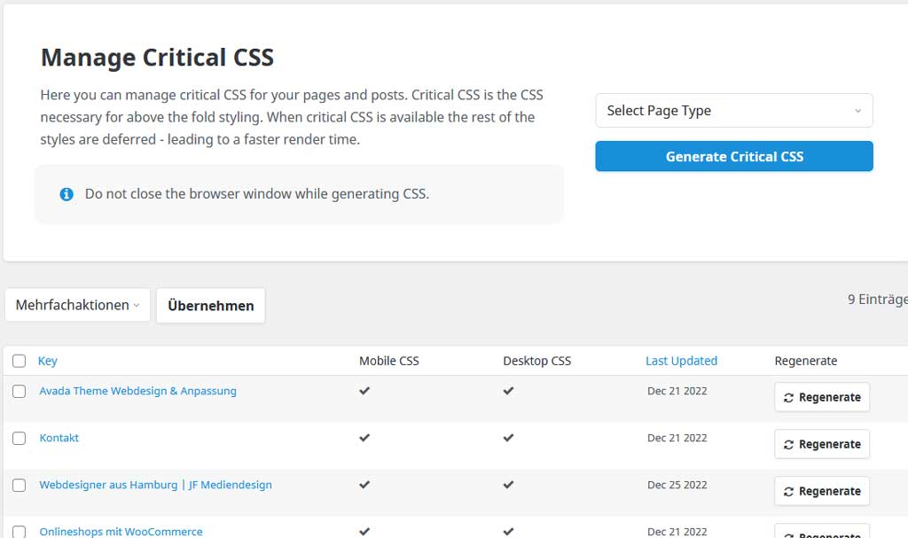 Avada Critical CSS Einstellungen